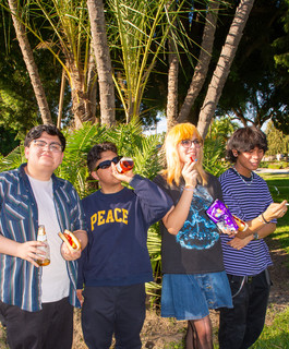 Lawn Darts artist photo