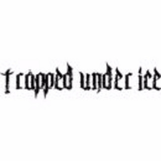 Trapped Under Ice