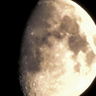 AASAR Photo