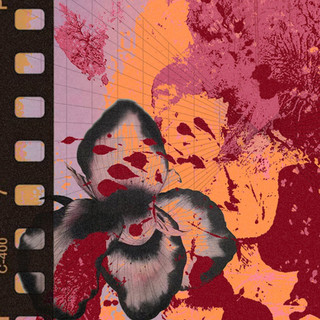 VHS Vegas