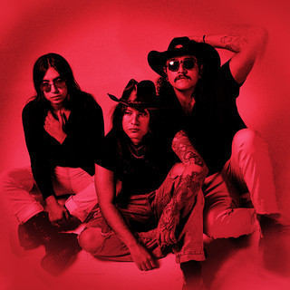 The Animal Plastics
