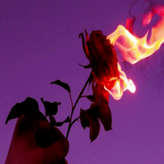 PINK FLAME