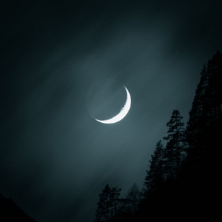 Night Time Dreamers artist photo