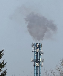 Yerbownik
