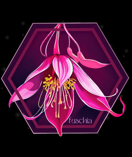 Fuchsia