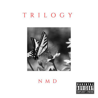 NMD cover