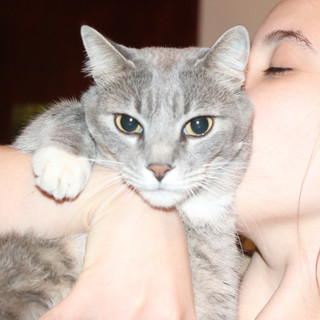3mmy