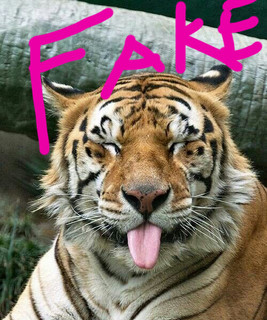 Ta Quang Thang artist photo