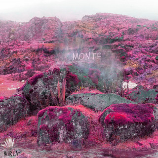 Monte cover