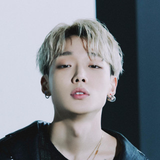 Bobby cover
