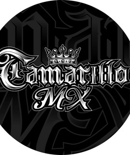 CamarilloMX
