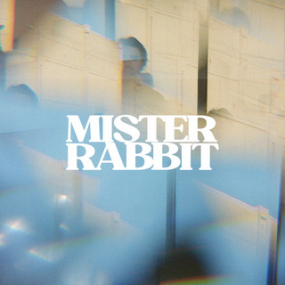 Mister Rabbit Photo