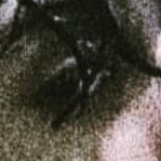 Diego Rivadeneyra