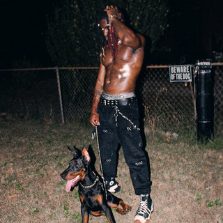 do not resurrect Photo