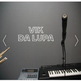 V Looper Photo