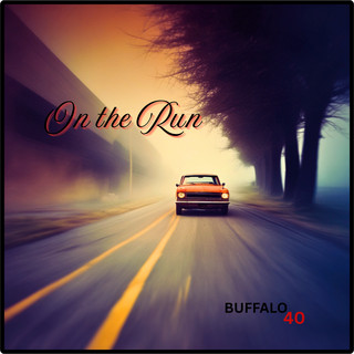 Buffalo 40