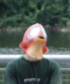 Tindree