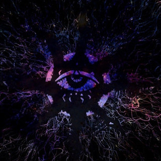 Stella Violentiam poster