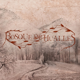 Bosque de Hualles poster