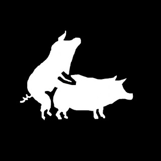 Subversivos