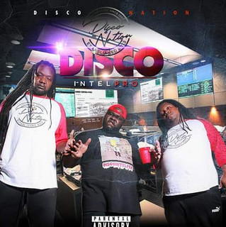 Disco Nation Photo