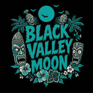 Black Valley Moon poster