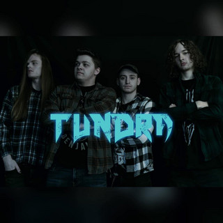 Tundra cover