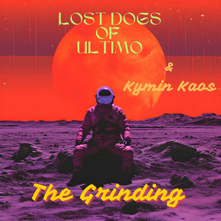 Lost Dogs of Ultimo
