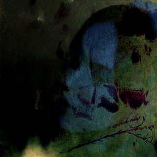 Undinyx Photo