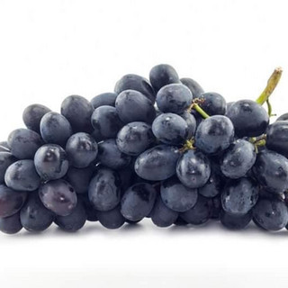 Blauwe Druif