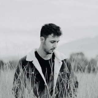 Launaea Photo