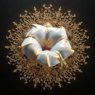 flor de toloache