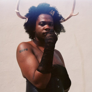 Shamir cover