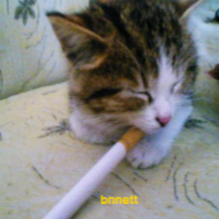 bnnett