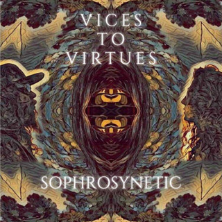 Vices To Virtues