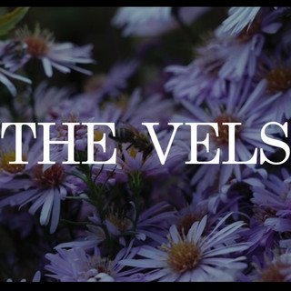 The Vels