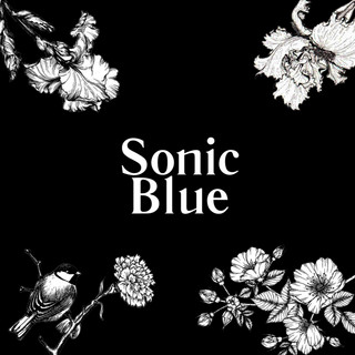 Sonic Blue