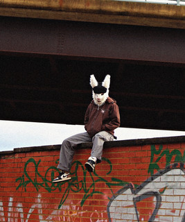 STEVIE RABBIT