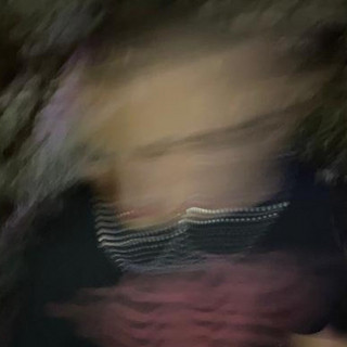 LES DAN