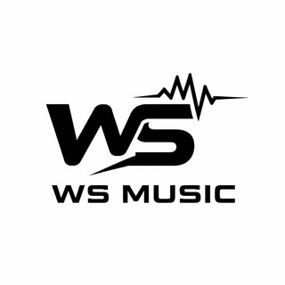WS Music artist photo