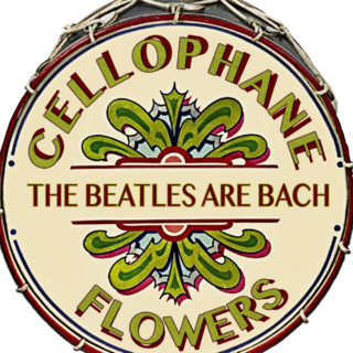 Jeff Lake & Cellophane Flowers