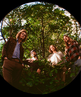 Triptides poster