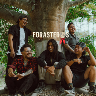 Forasteros