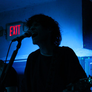 trailing iris poster