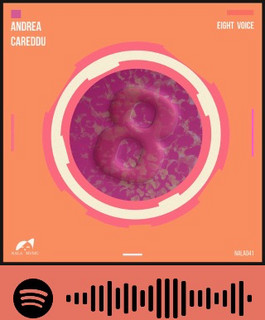 Andrea Careddu cover