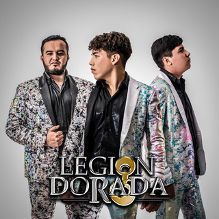 Legion Condor Photo