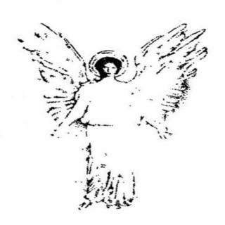 Soavecamour