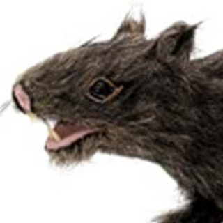 Ratcakes