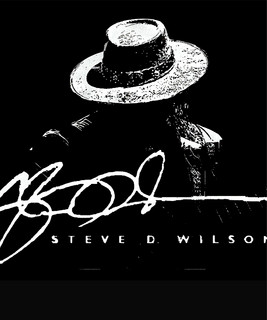Steve D. Wilson