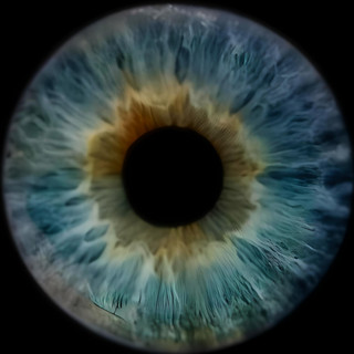 Tha Pupil